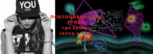 дживик Абинск